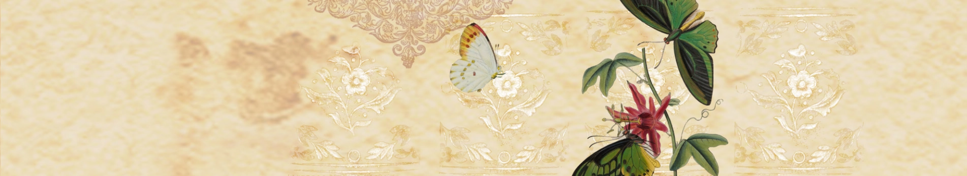Borboleta