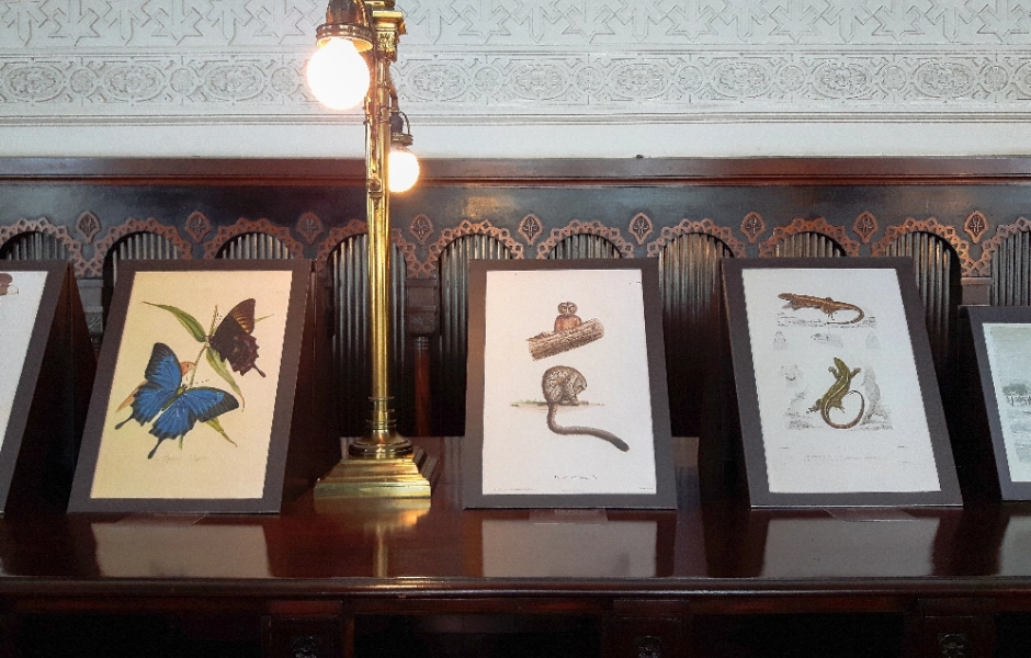 desenhos dentro de quadros